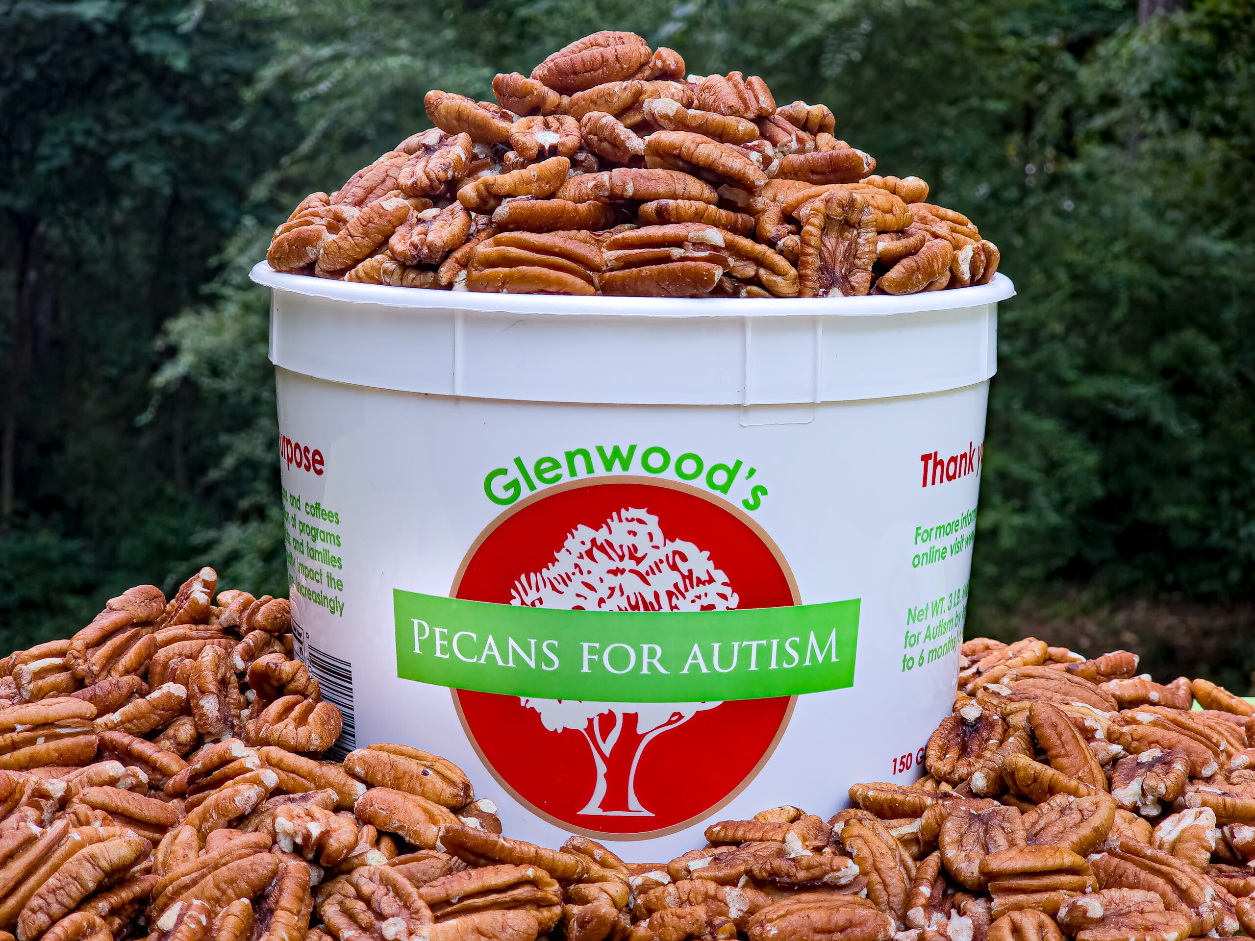 A bucket with the Pecans for Autism logo, overflowing with pecans.