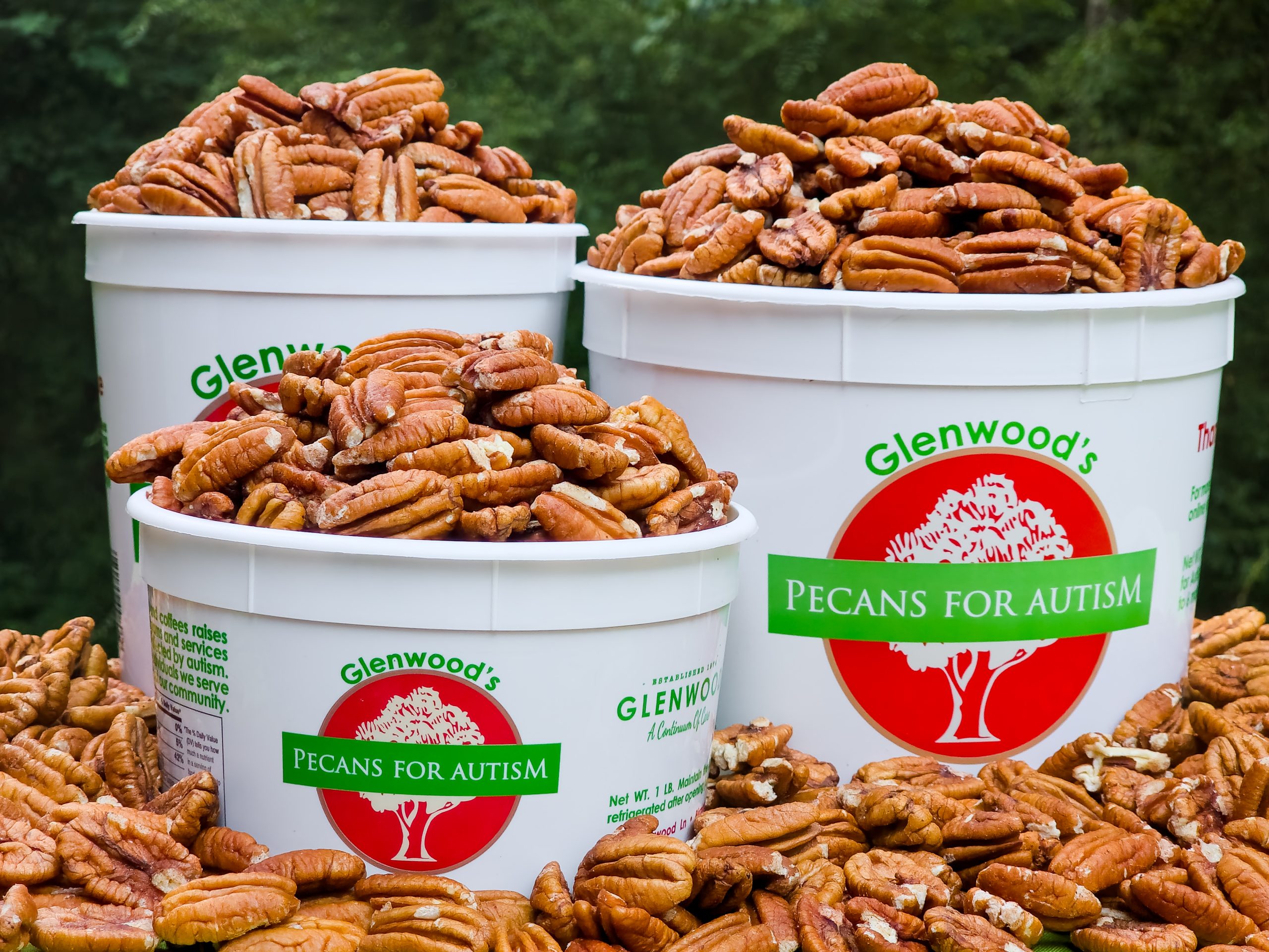 Buckets overflowing with pecans and having Pecans for Autism logo.