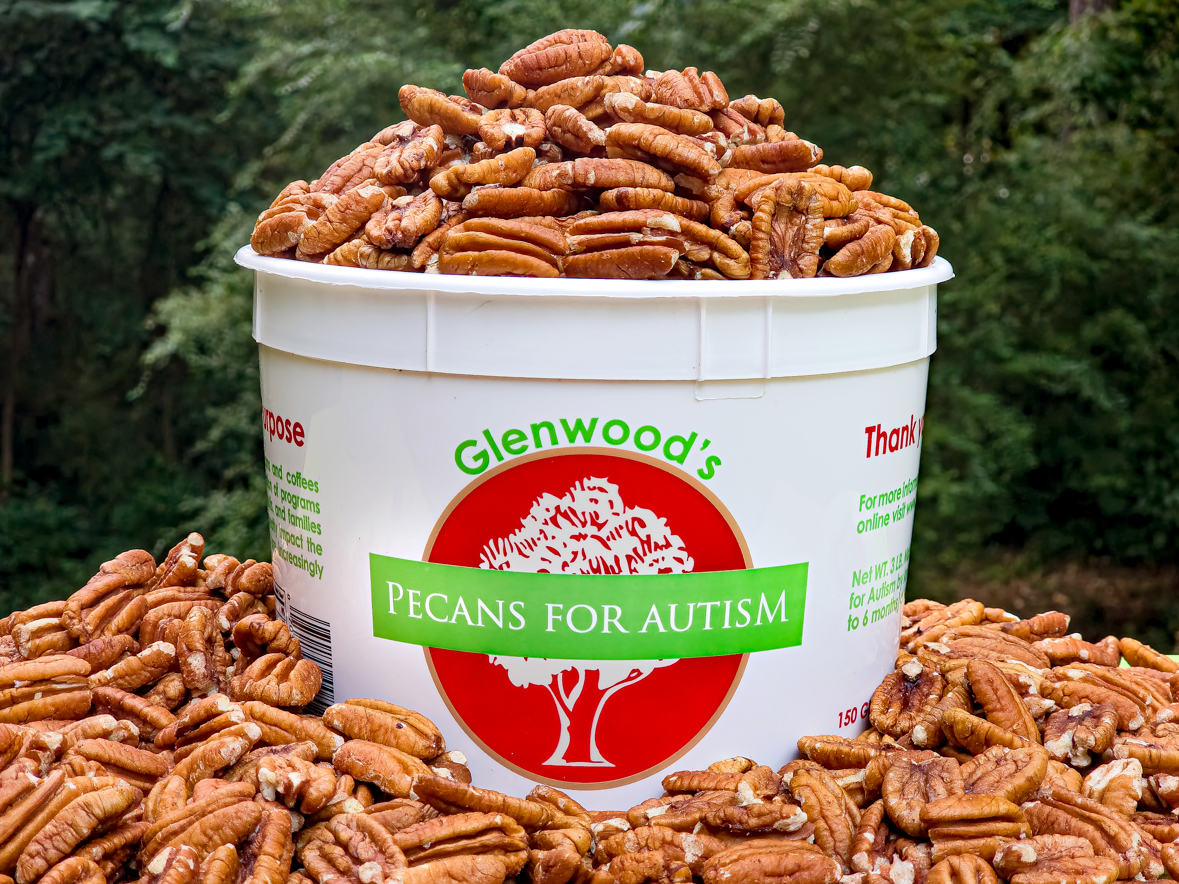 A white bucket overflowing with pecans.